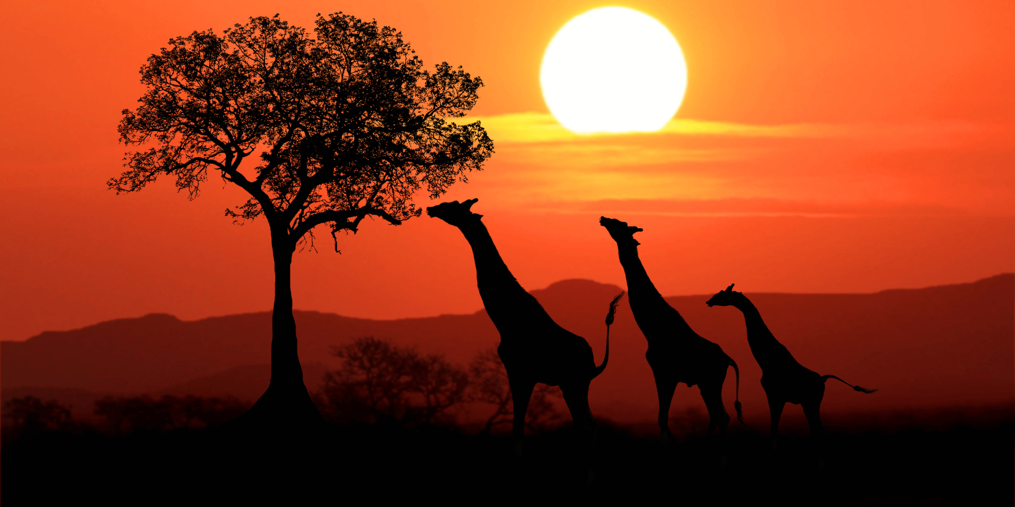 John Ball Zoo giraffe habitat